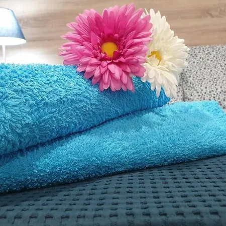 Apartman Eucalipto *